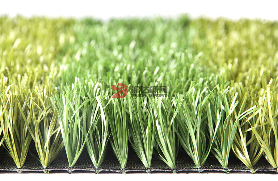 1591693896343049.jpg 國際足聯人造草3D.jpg