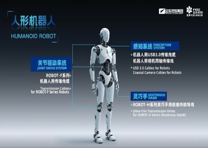 Recreating Intangible Cultural Heritage Hand Lion Dance: Robots’ Smooth Charm B...